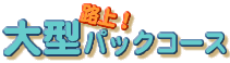 ���^�H��p�b�N�R�[�X
